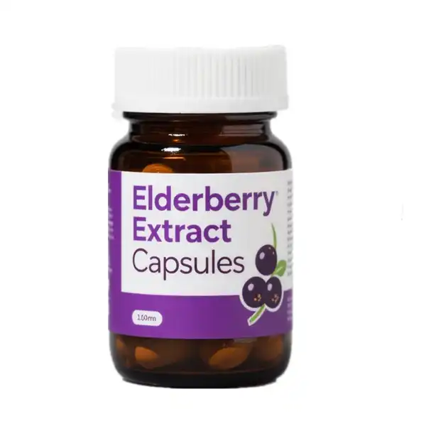 Elderberry Extract Capsules